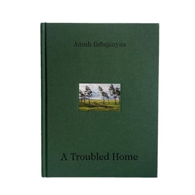 A Troubled Home book