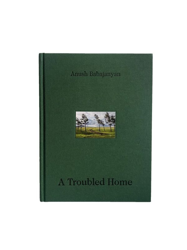 A Troubled Home book